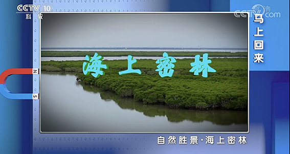 央视播出与我馆合拍纪录片《海上密林》（央视科教频道20220912）