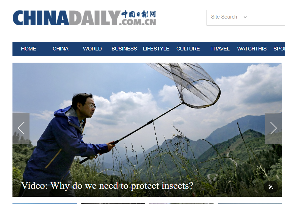 Why do we need to protect insects?（《中国日报》20240606）