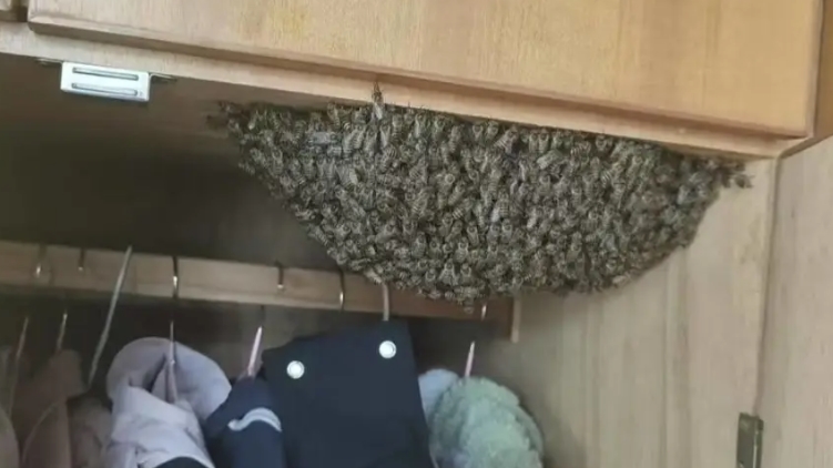 科普活动