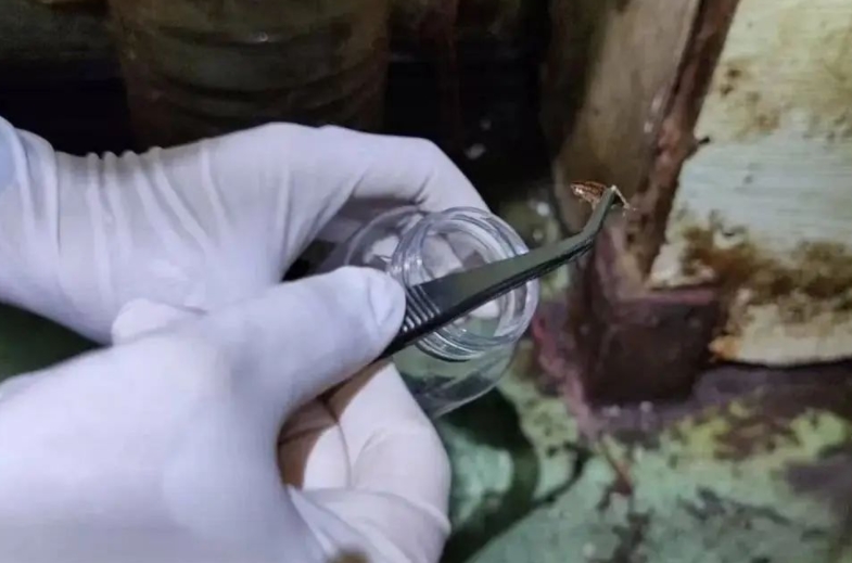 科普活动