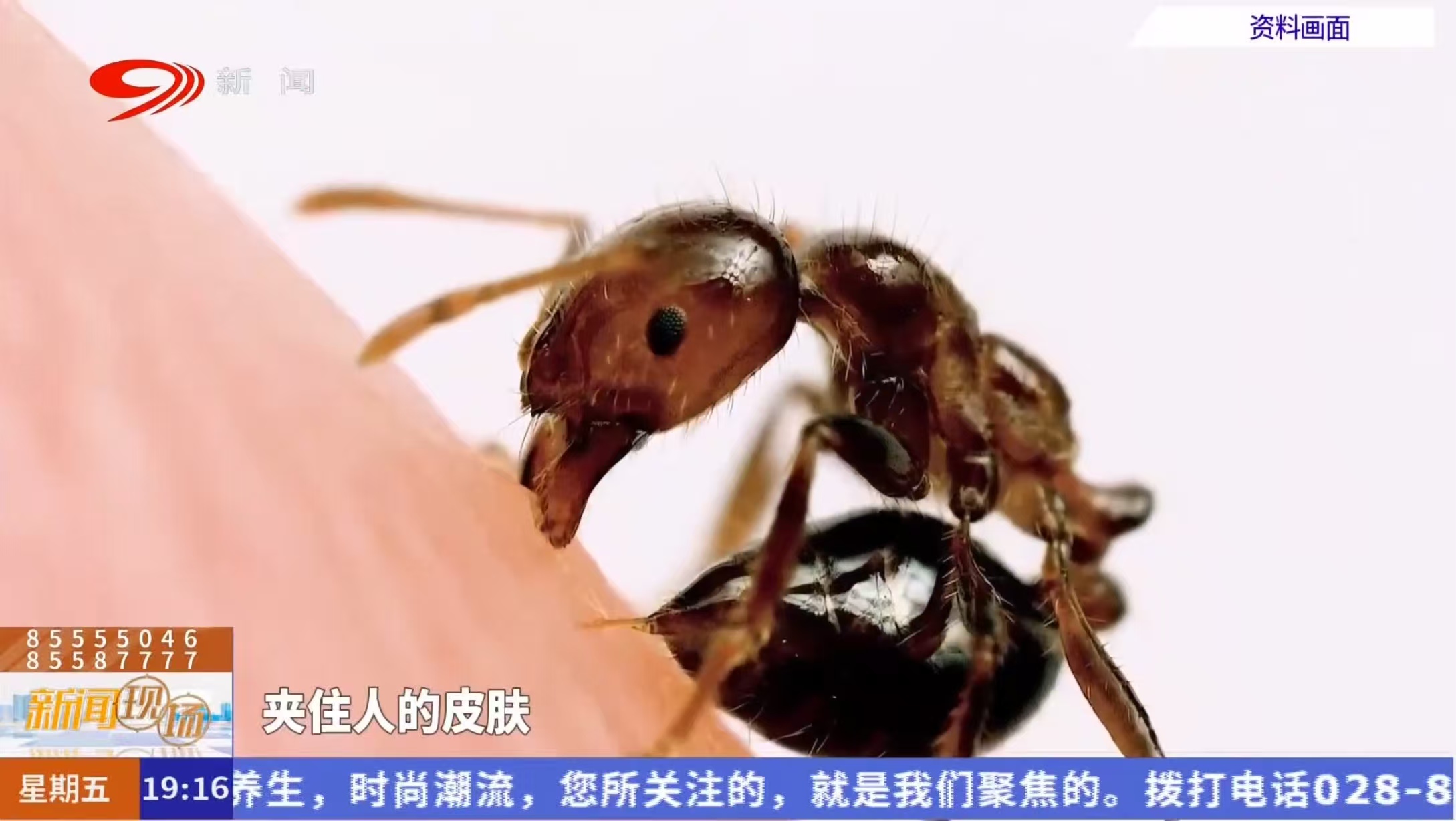 科普活动