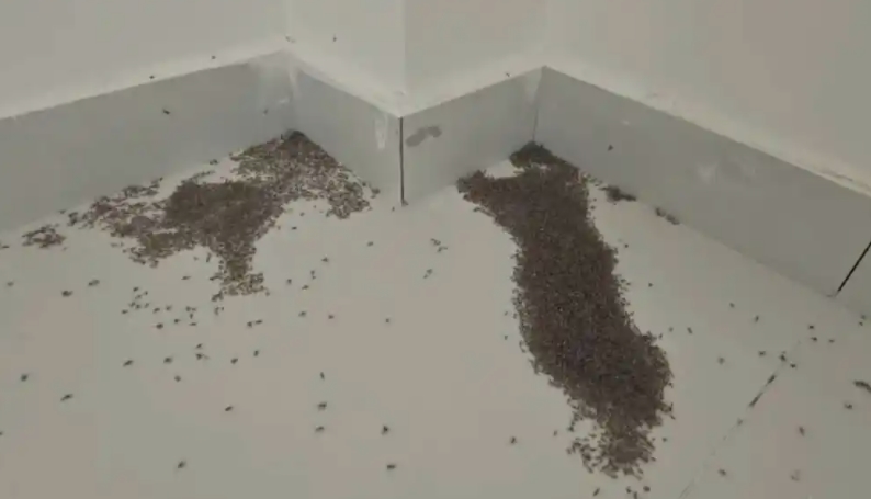 科普活动