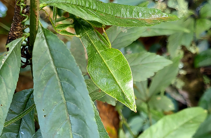 科普活动